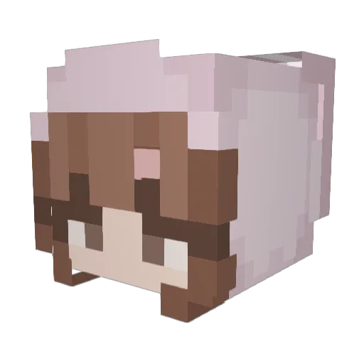 wastebunny Minecraft avatar head, 3D render