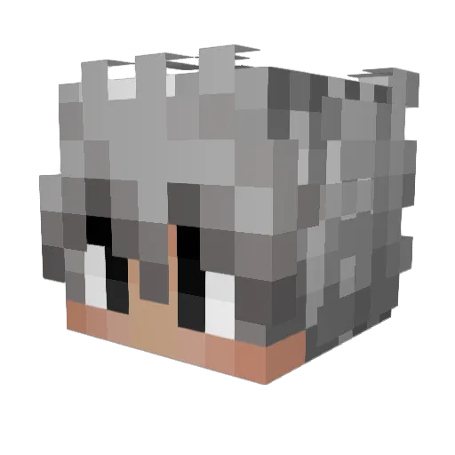wasted_boy Minecraft avatar head, 3D render