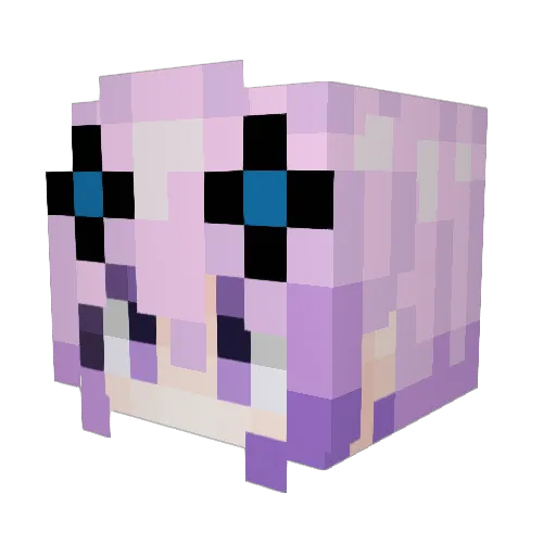 wastelander470 Minecraft avatar head, 3D render