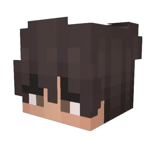 wastyinnit Minecraft avatar head, 3D render