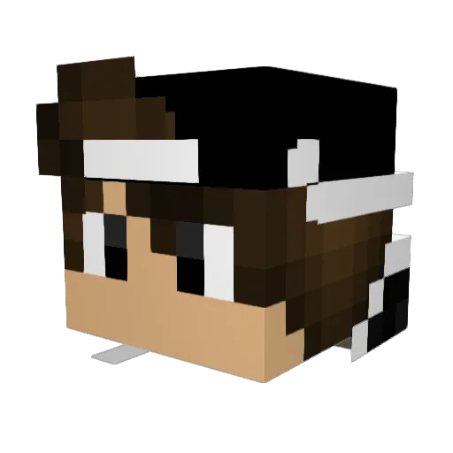 wasup090990 Minecraft avatar head, 3D render