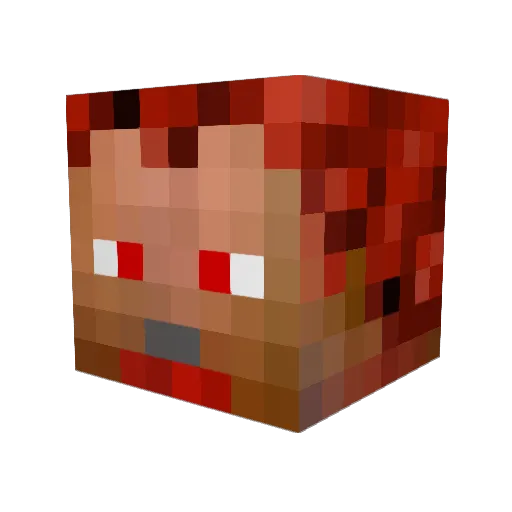 wasup102938 Minecraft avatar head, 3D render