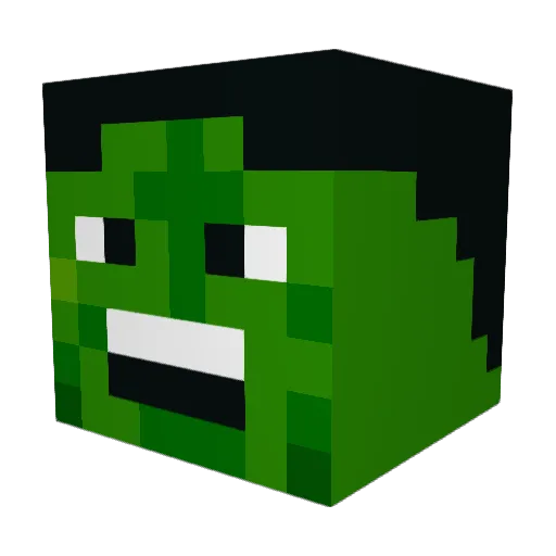 wasupmate007 Minecraft avatar head, 3D render