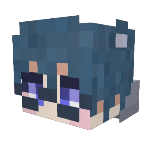 wasureNagu3 Minecraft avatar head, 3D render