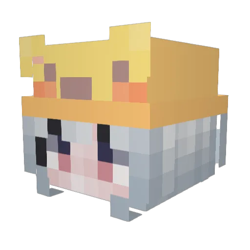 wasyter Minecraft avatar head, 3D render