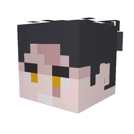 watUwant1 Minecraft avatar head, 3D render
