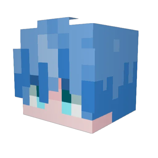 water325 Minecraft avatar head, 3D render
