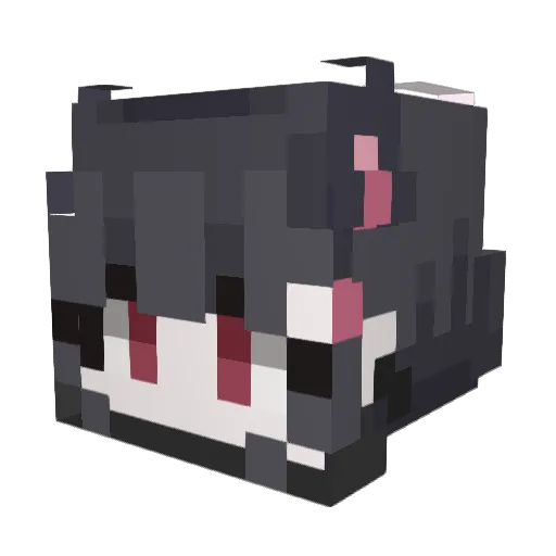 water3456 Minecraft avatar head, 3D render