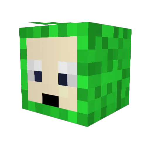water_doos Minecraft avatar head, 3D render