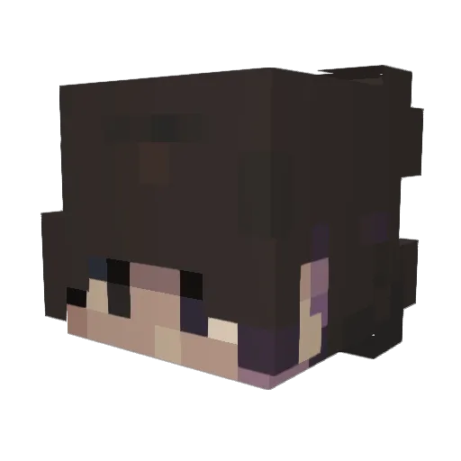 water_gaming152 Minecraft avatar head, 3D render