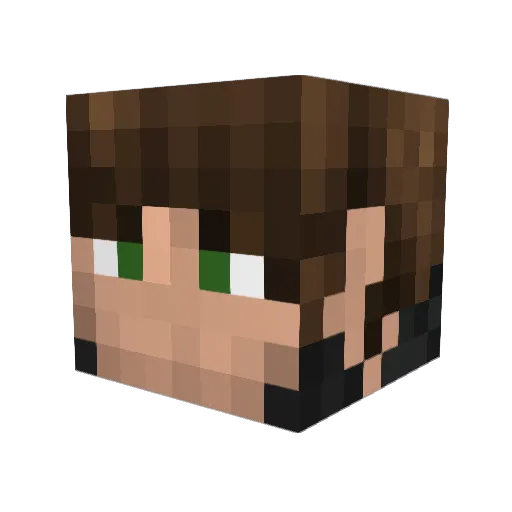 water_loo Minecraft avatar head, 3D render