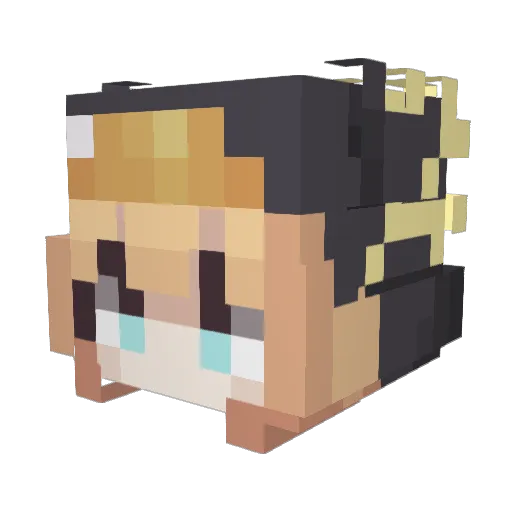 water_yuan Minecraft avatar head, 3D render
