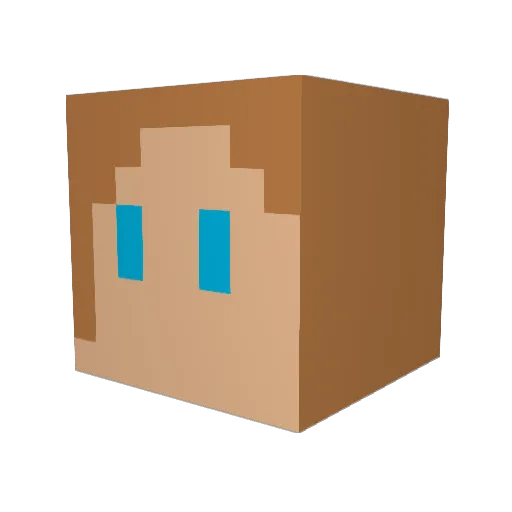 waterbison8 Minecraft avatar head, 3D render