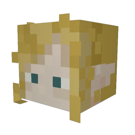 waterblender Minecraft avatar head, 3D render