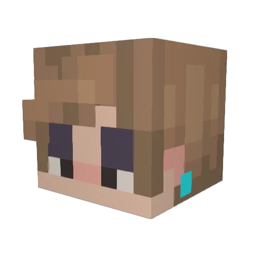 waterbloon Minecraft avatar head, 3D render