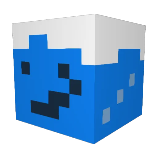 waterbottle210 Minecraft avatar head, 3D render