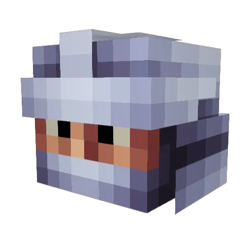waterced1 Minecraft avatar head, 3D render
