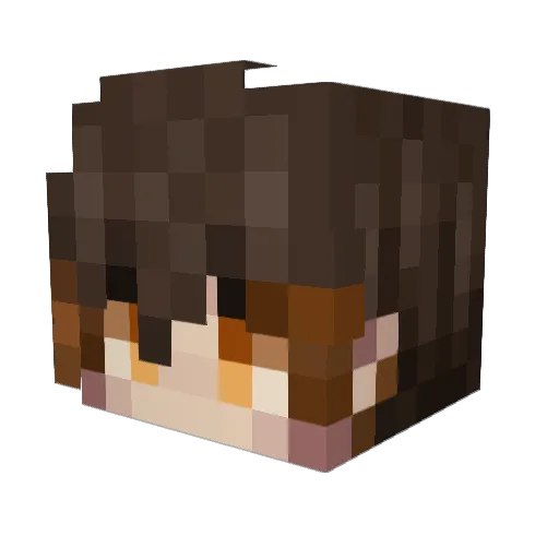waterchen Minecraft avatar head, 3D render