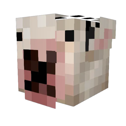 waterchunks_ Minecraft avatar head, 3D render