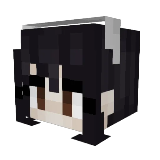 waterdenier Minecraft avatar head, 3D render