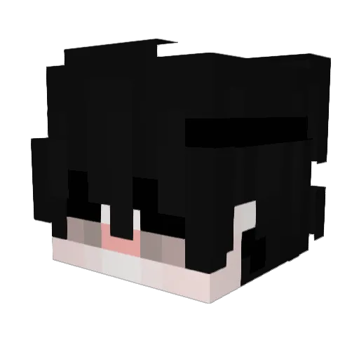 waterdragon08 Minecraft avatar head, 3D render