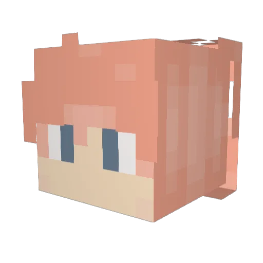 waterfeelsgood Minecraft avatar head, 3D render