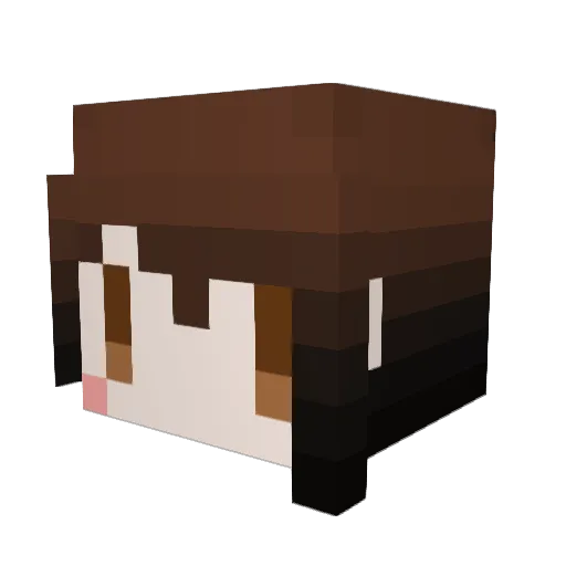 waterfroot Minecraft avatar head, 3D render
