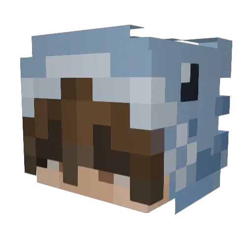 waterisgone Minecraft avatar head, 3D render
