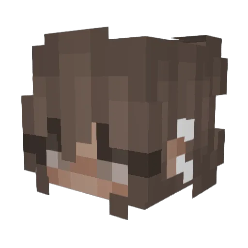 waterisnice Minecraft avatar head, 3D render