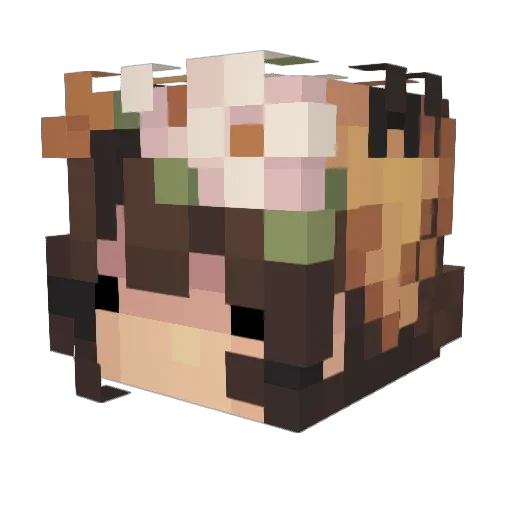 waterlilylotus Minecraft avatar head, 3D render