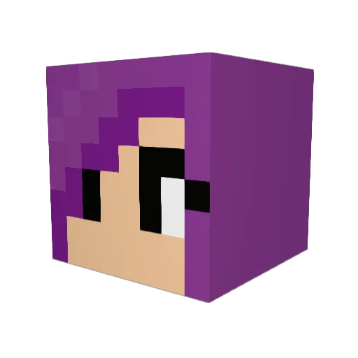 waterpie Minecraft avatar head, 3D render