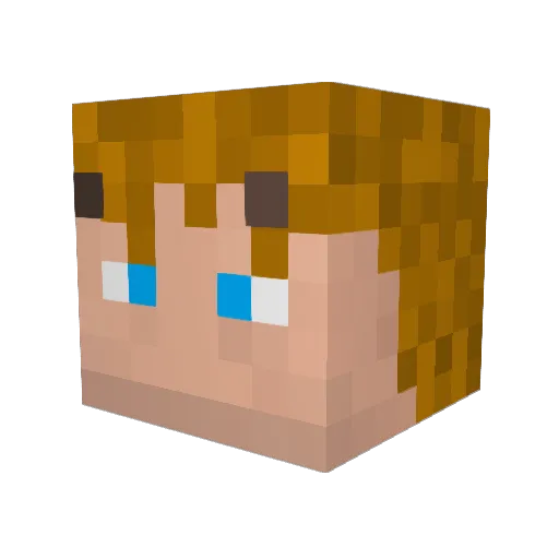 watersky7034 Minecraft avatar head, 3D render
