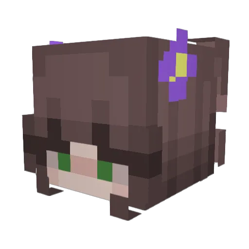 watser Minecraft avatar head, 3D render