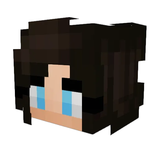 watson059 Minecraft avatar head, 3D render