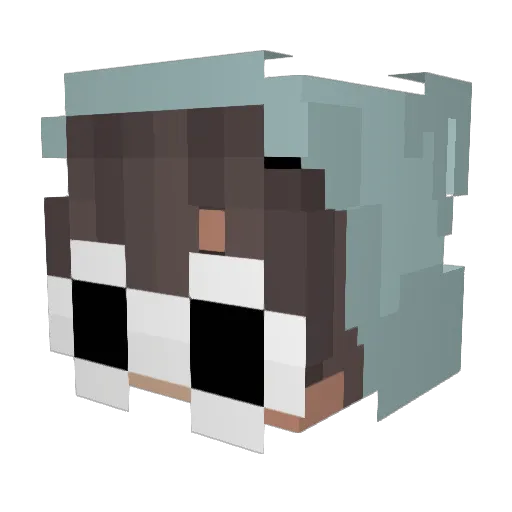 watt9797 Minecraft avatar head, 3D render