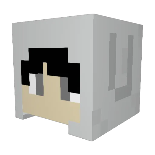 wattpochi Minecraft avatar head, 3D render