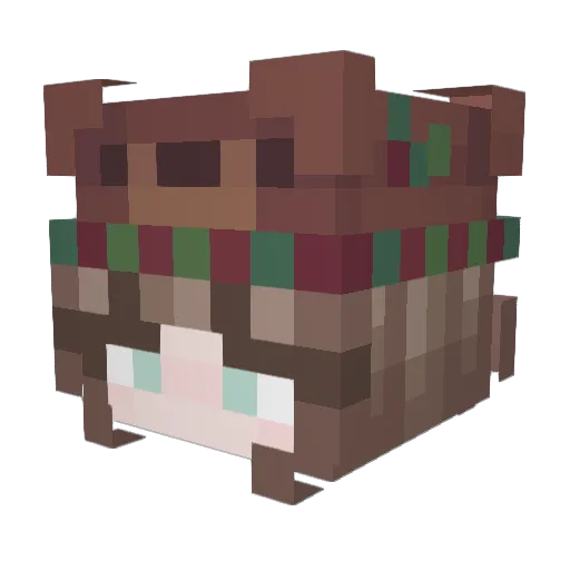 wattreader Minecraft avatar head, 3D render