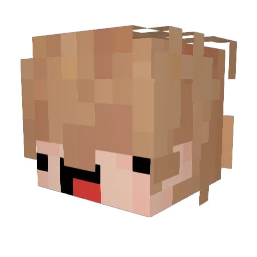 waukii Minecraft avatar head, 3D render