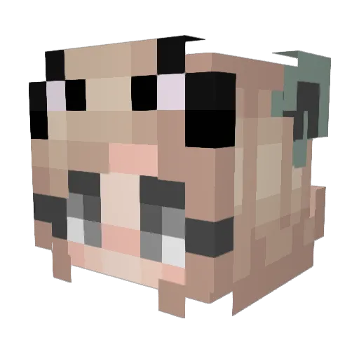 waveport Minecraft avatar head, 3D render