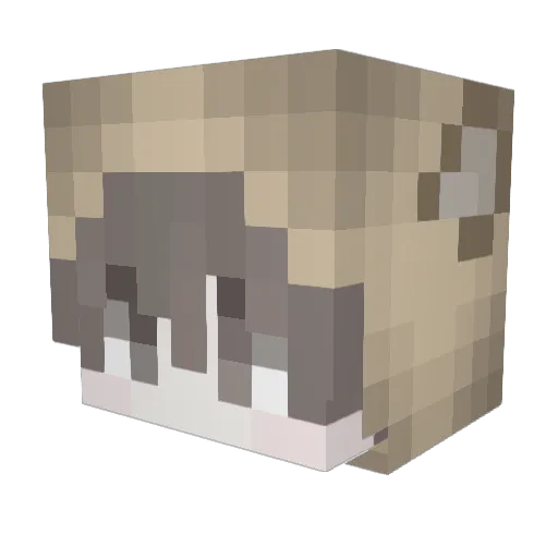 waves2016 Minecraft avatar head, 3D render