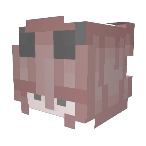 waveshots Minecraft avatar head, 3D render