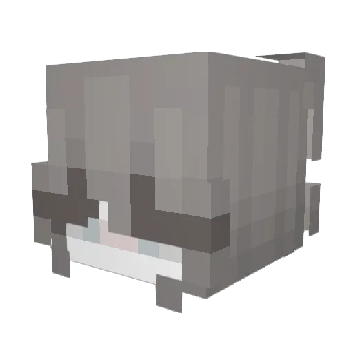 wavyee Minecraft avatar head, 3D render
