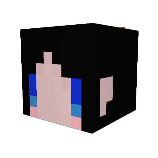 wawa1328 Minecraft avatar head, 3D render