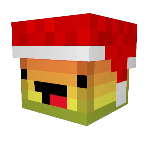 wawa1 Minecraft avatar head, 3D render
