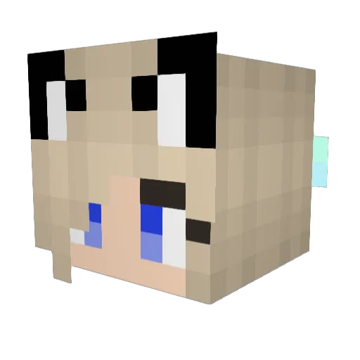 wawa4life Minecraft avatar head, 3D render