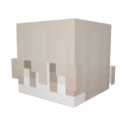 wawal Minecraft avatar head, 3D render