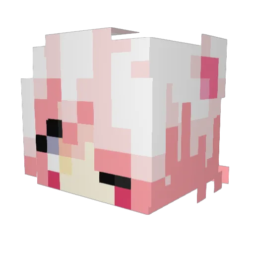 waxsterrr Minecraft avatar head, 3D render