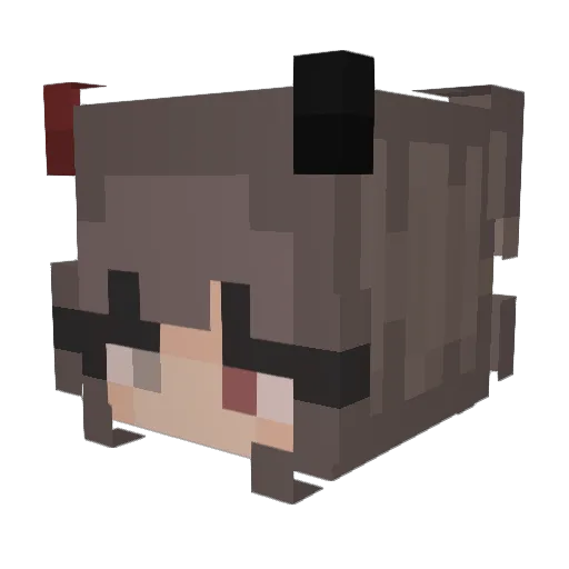 waxy1 Minecraft avatar head, 3D render