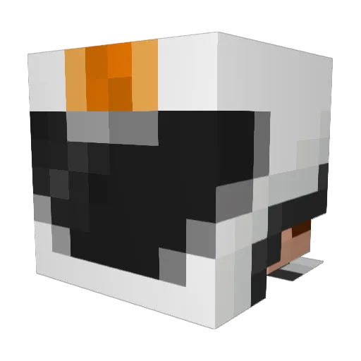 waxycanvas Minecraft avatar head, 3D render