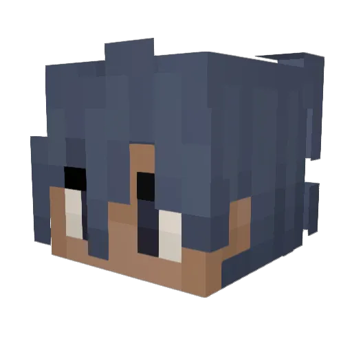 wayyn Minecraft avatar head, 3D render